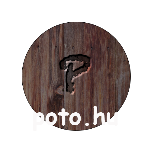 poto_logo